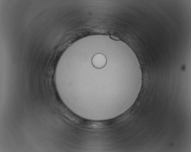 X0000115850229200912242044