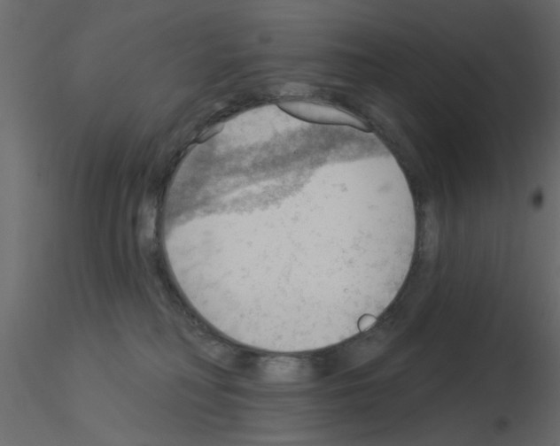 X0000115850230200912242044