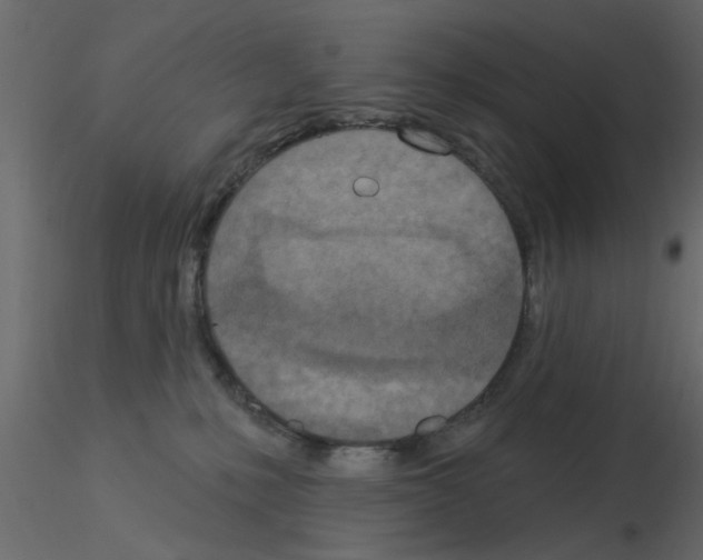 X0000115850231200912242044