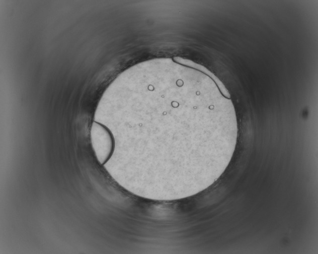 X0000115850232200912242044