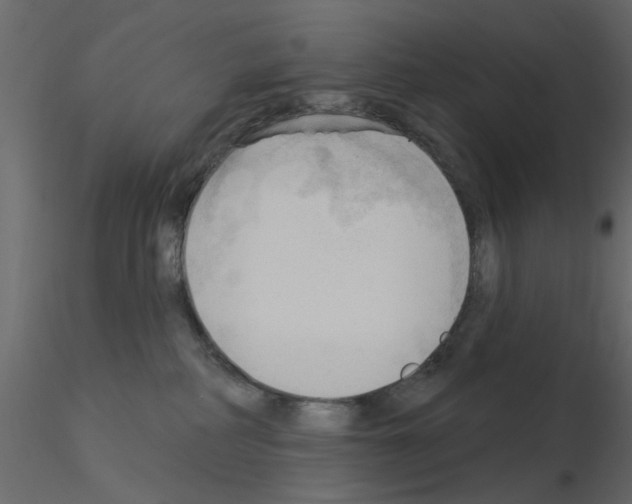 X0000115850234200912242044
