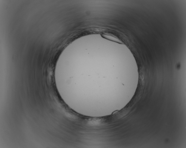 X0000115850235200912242044