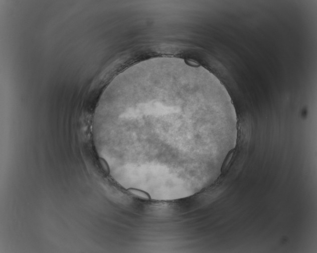 X0000115850237200912242044