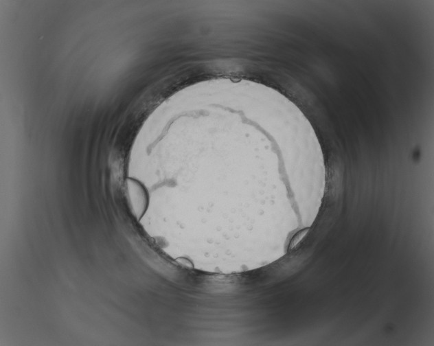 X0000115850238200912242044