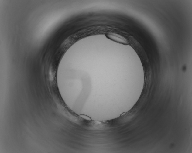 X0000115850239200912242044