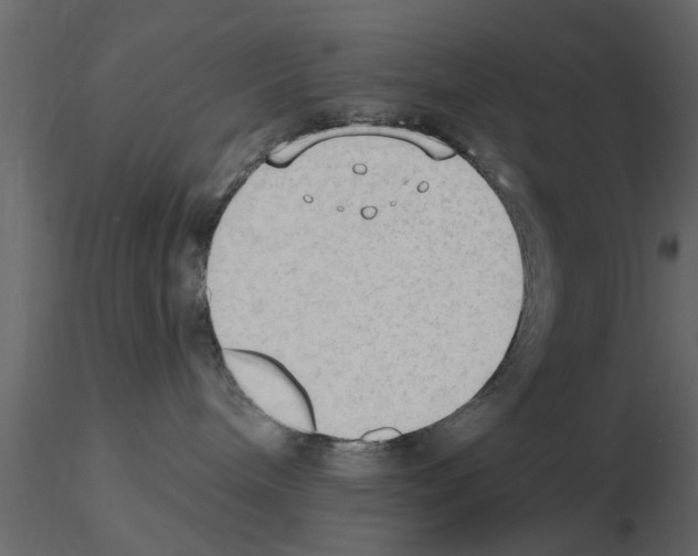 X0000115850240200912242044