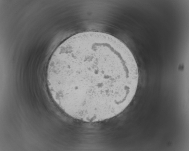 X0000115850241200912242043