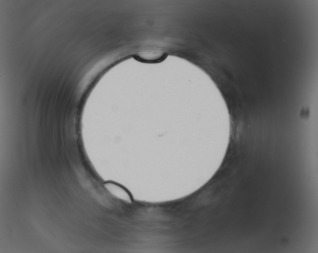 X0000115850244200912242043