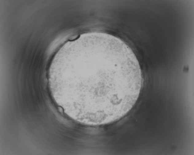 X0000115850245200912242043