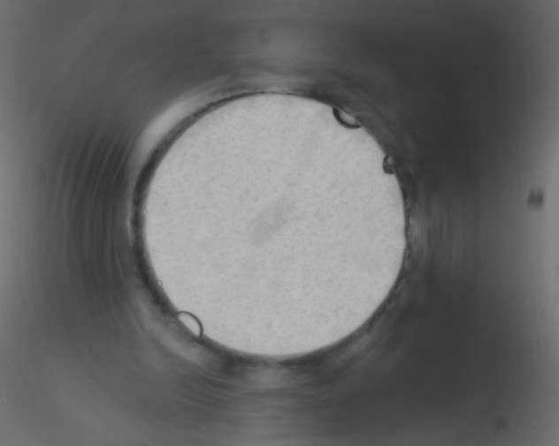 X0000115850246200912242043