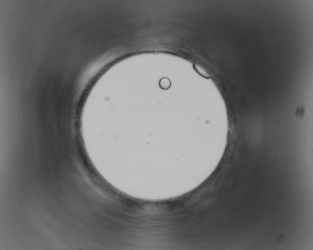 X0000115850248200912242043