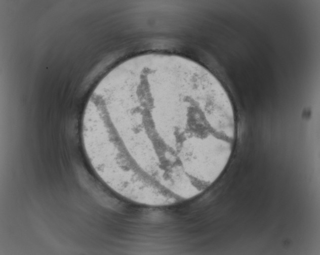 X0000115850249200912242043