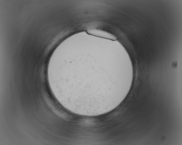 X0000115850250200912242043