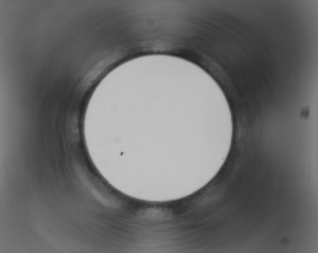 X0000115850251200912242043