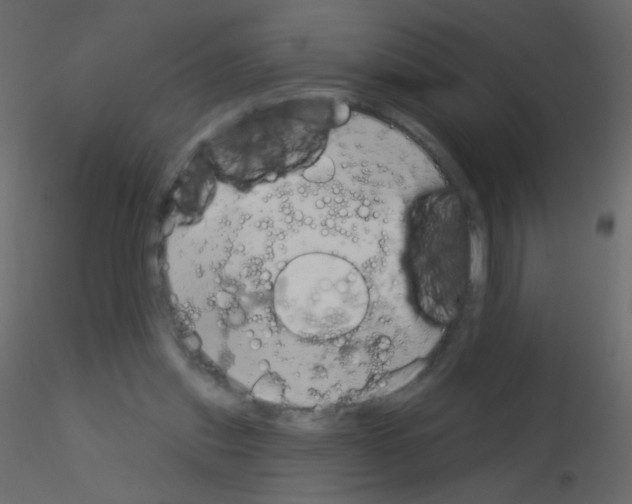 X0000115850253200912242044