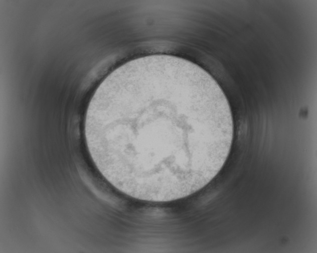 X0000115850254200912242044