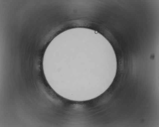 X0000115850255200912242044