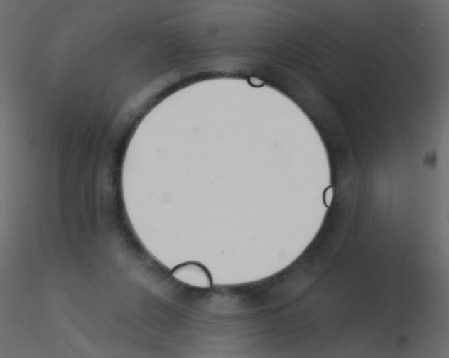 X0000115850256200912242044
