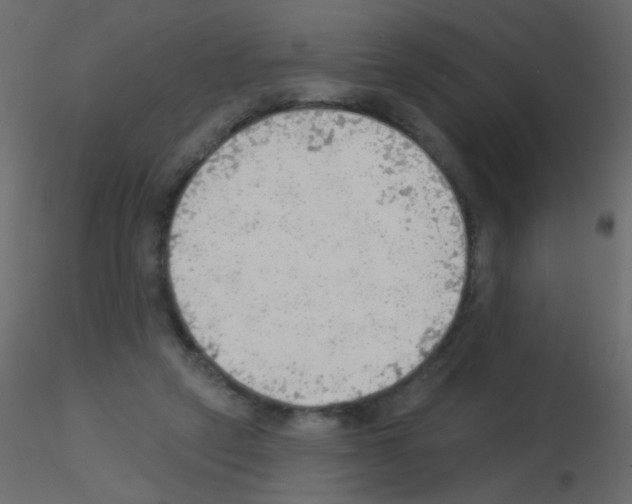 X0000115850257200912242044