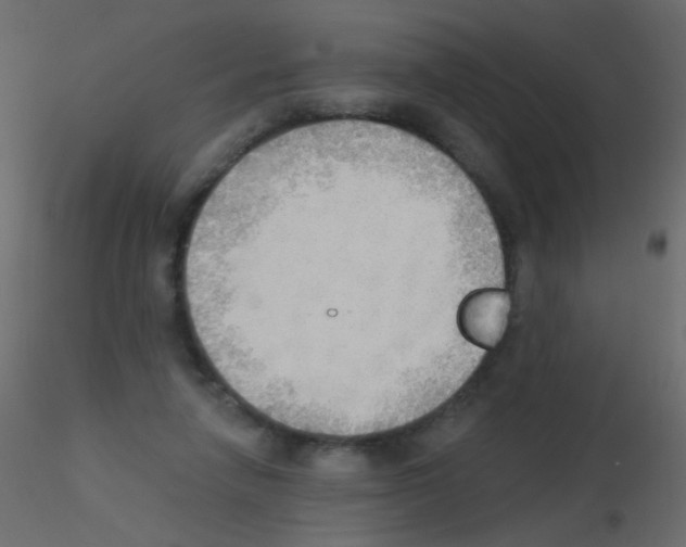 X0000115850258200912242044