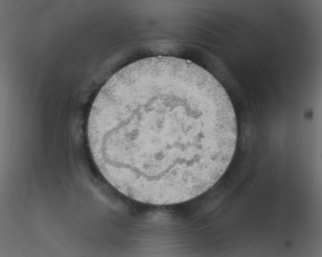 X0000115850259200912242044