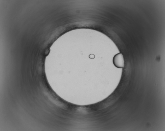 X0000115850261200912242044