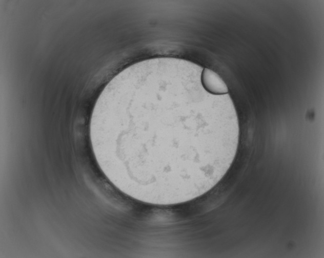 X0000115850263200912242044
