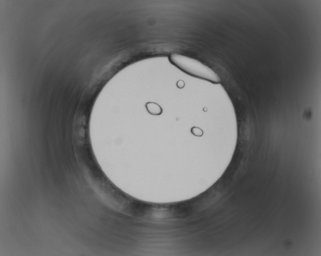 X0000115850264200912242044