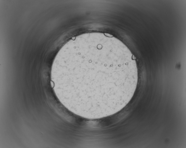 X0000115850265200912242044