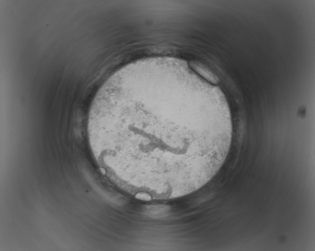 X0000115850266200912242044