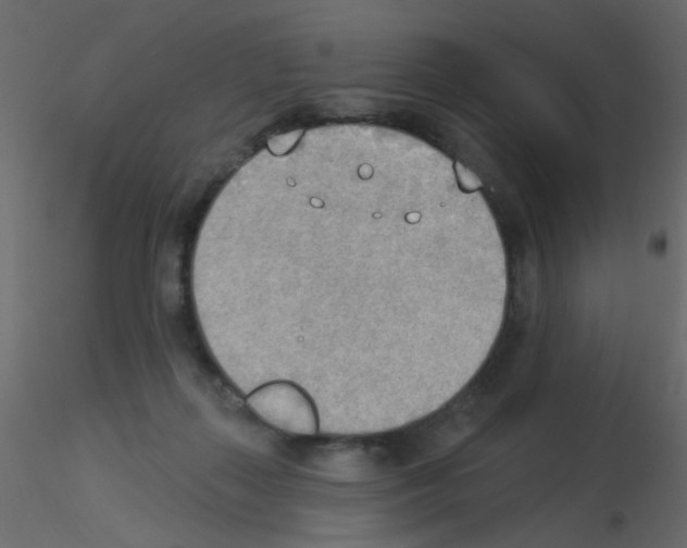 X0000115850267200912242044