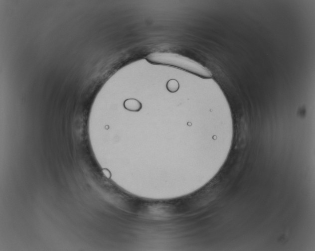 X0000115850268200912242044