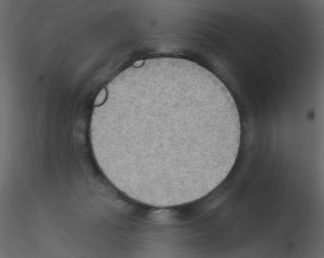 X0000115850269200912242044