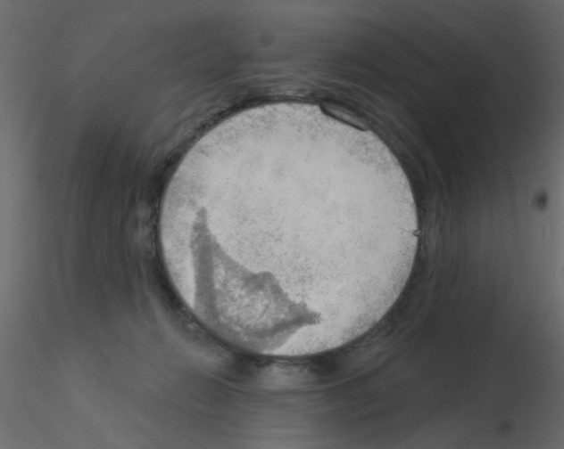X0000115850270200912242044