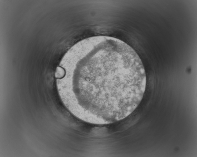 X0000115850271200912242044