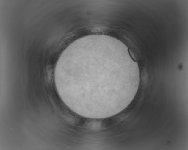 X0000115850276200912242044