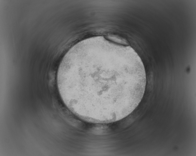 X0000115850278200912242044