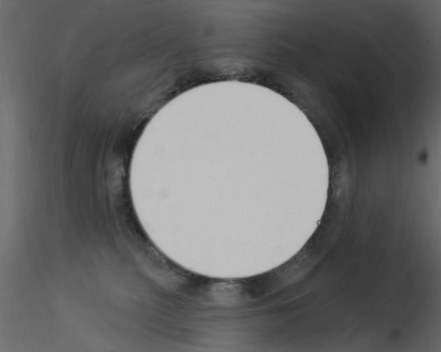 X0000115850279200912242044