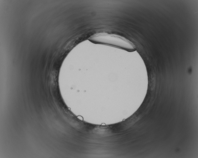 X0000115850280200912242044
