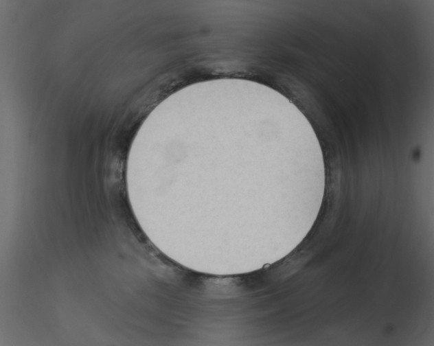 X0000115850281200912242044