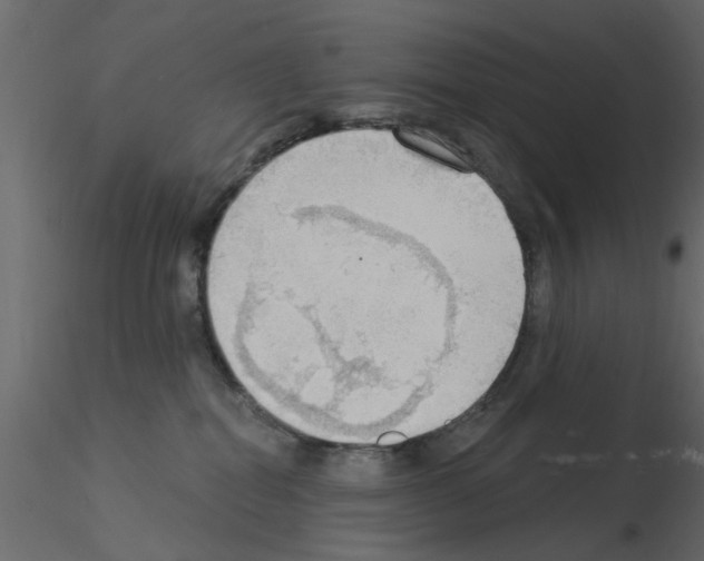X0000115850282200912242044