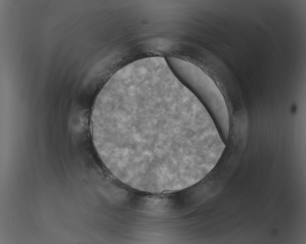 X0000115850284200912242044