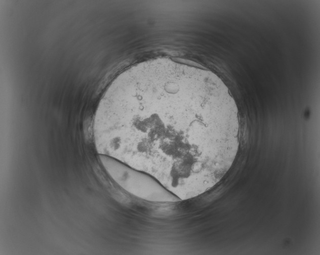 X0000115850285200912242044