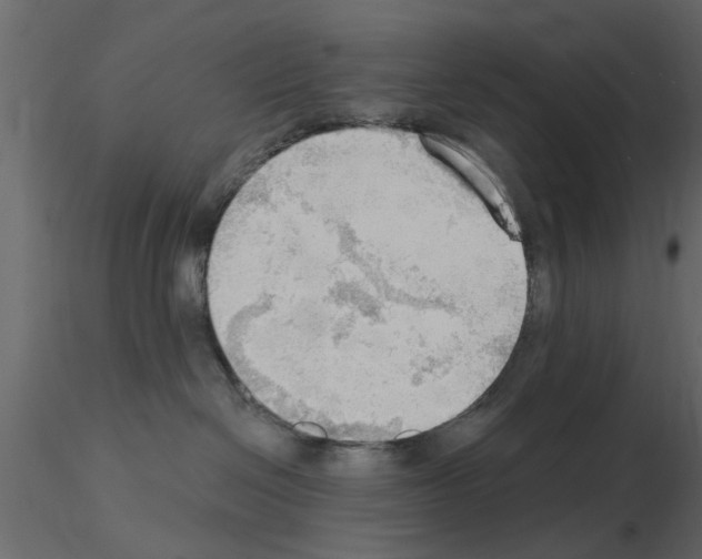 X0000115850286200912242044