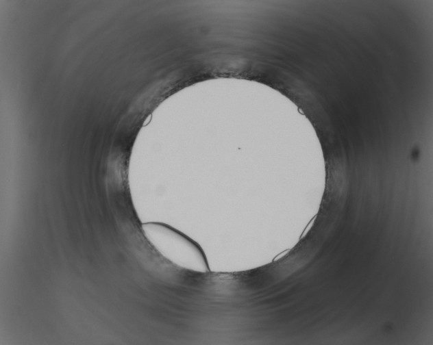 X0000115850287200912242044