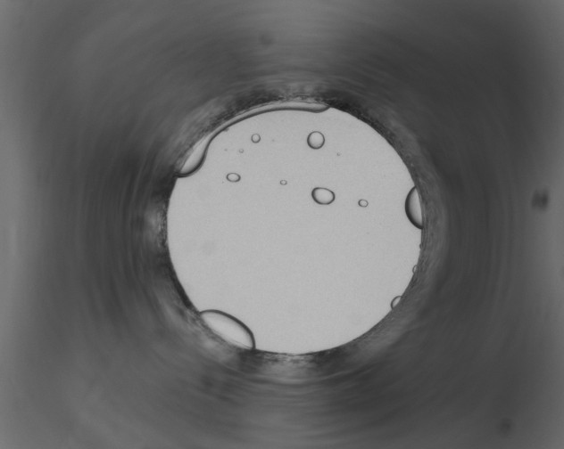 X0000115850288200912242044