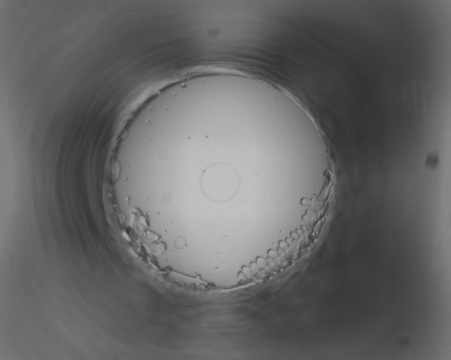 X0000115850289200912242043