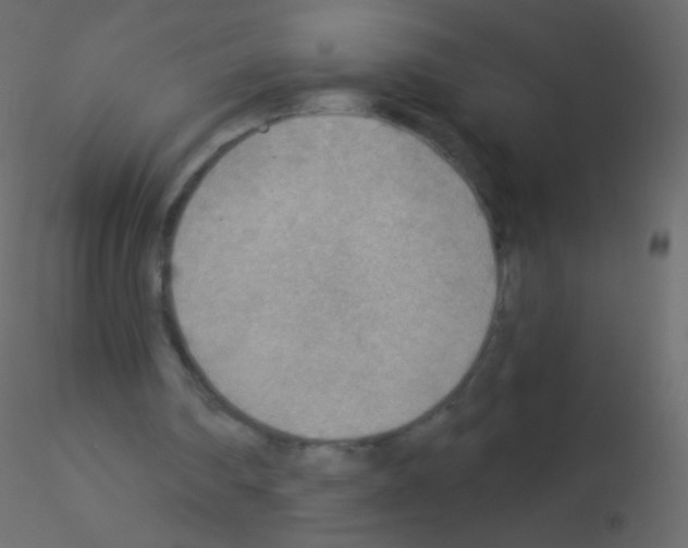 X0000115850290200912242043