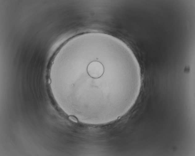 X0000115850292200912242043