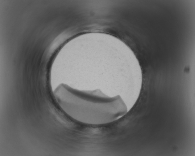 X0000115850295200912242043